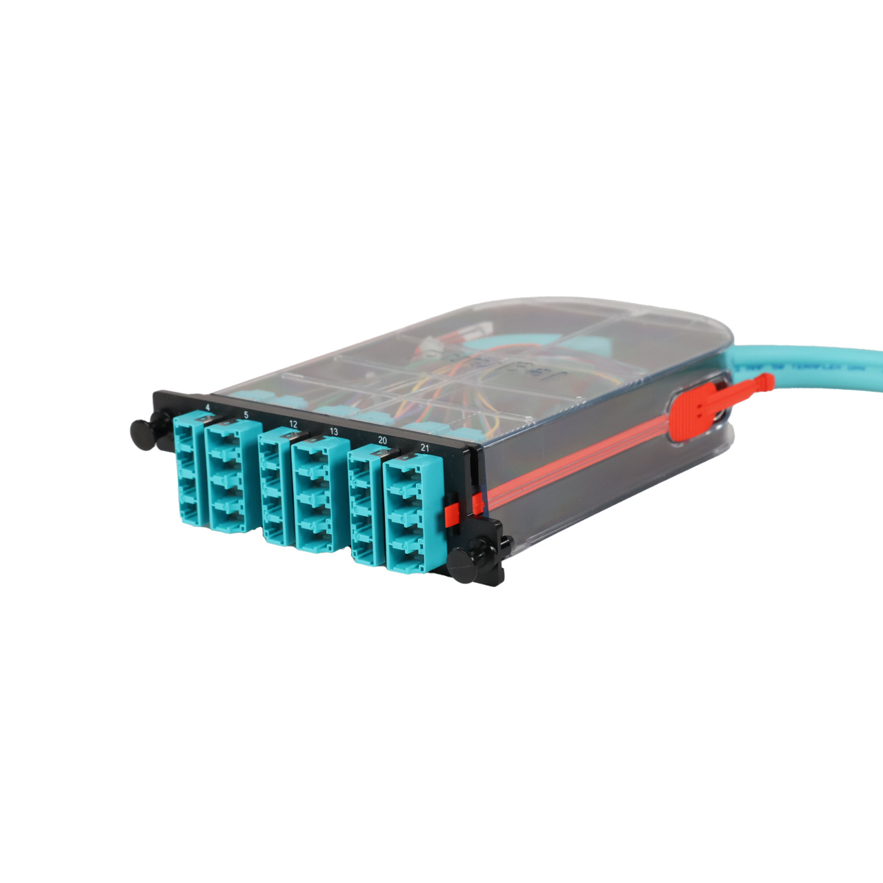 LM4 Cassette, 24 Fiber, LC Quad (6), Multimode (OM4) to 1 Meter, 900µm Tight Buffer Pigtail trimetric left