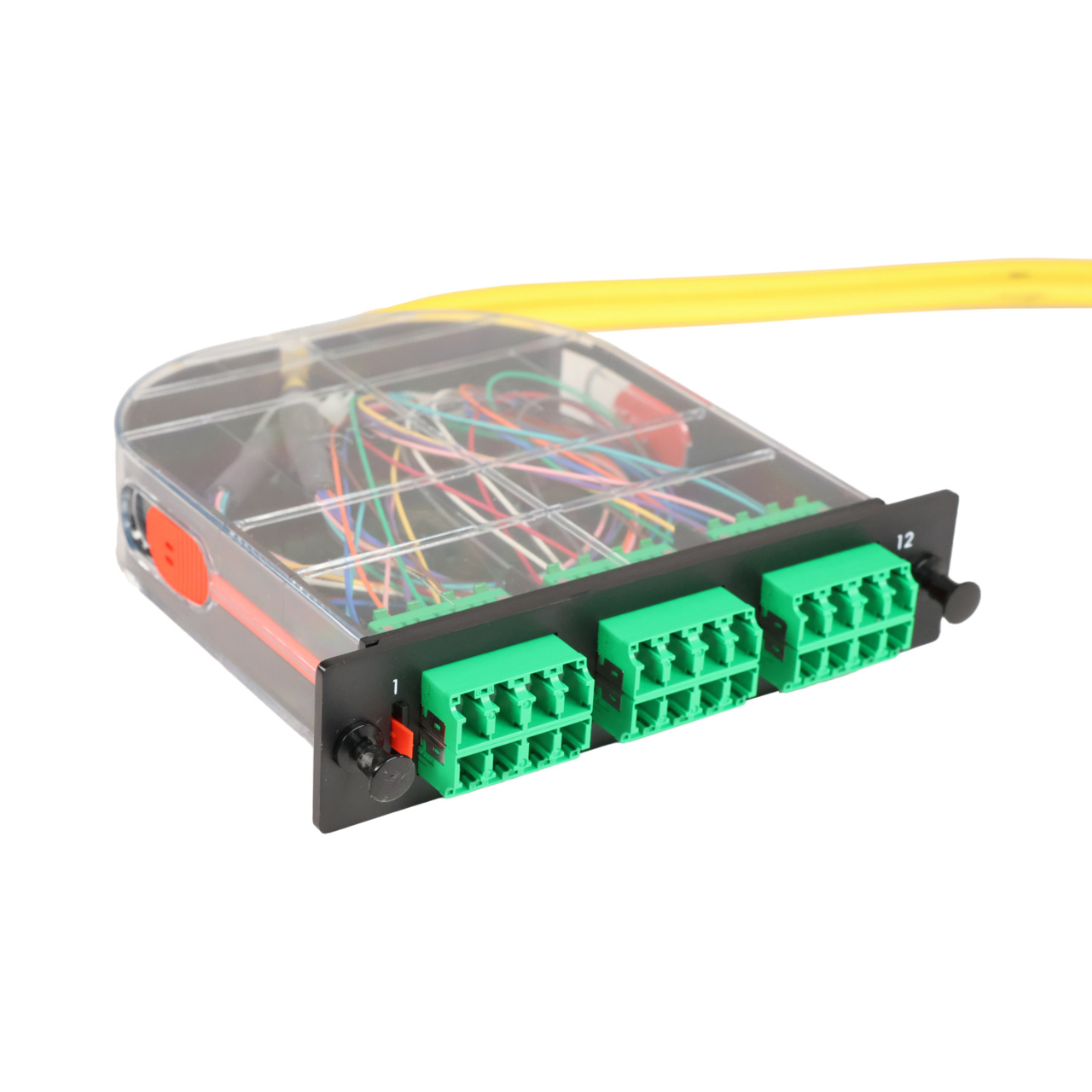 LM2 Cassette, 24 Fiber, LCA Quad (6), Single Mode (OS2) to 1 Meter, 900µm Tight Buffer Pigtail trimetric right
