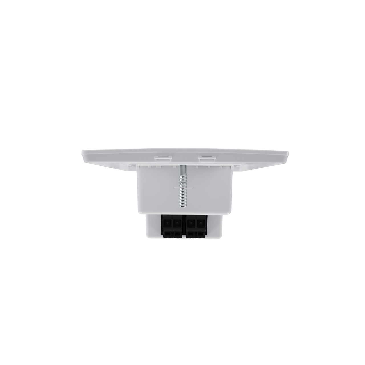 top of EN-DW in white