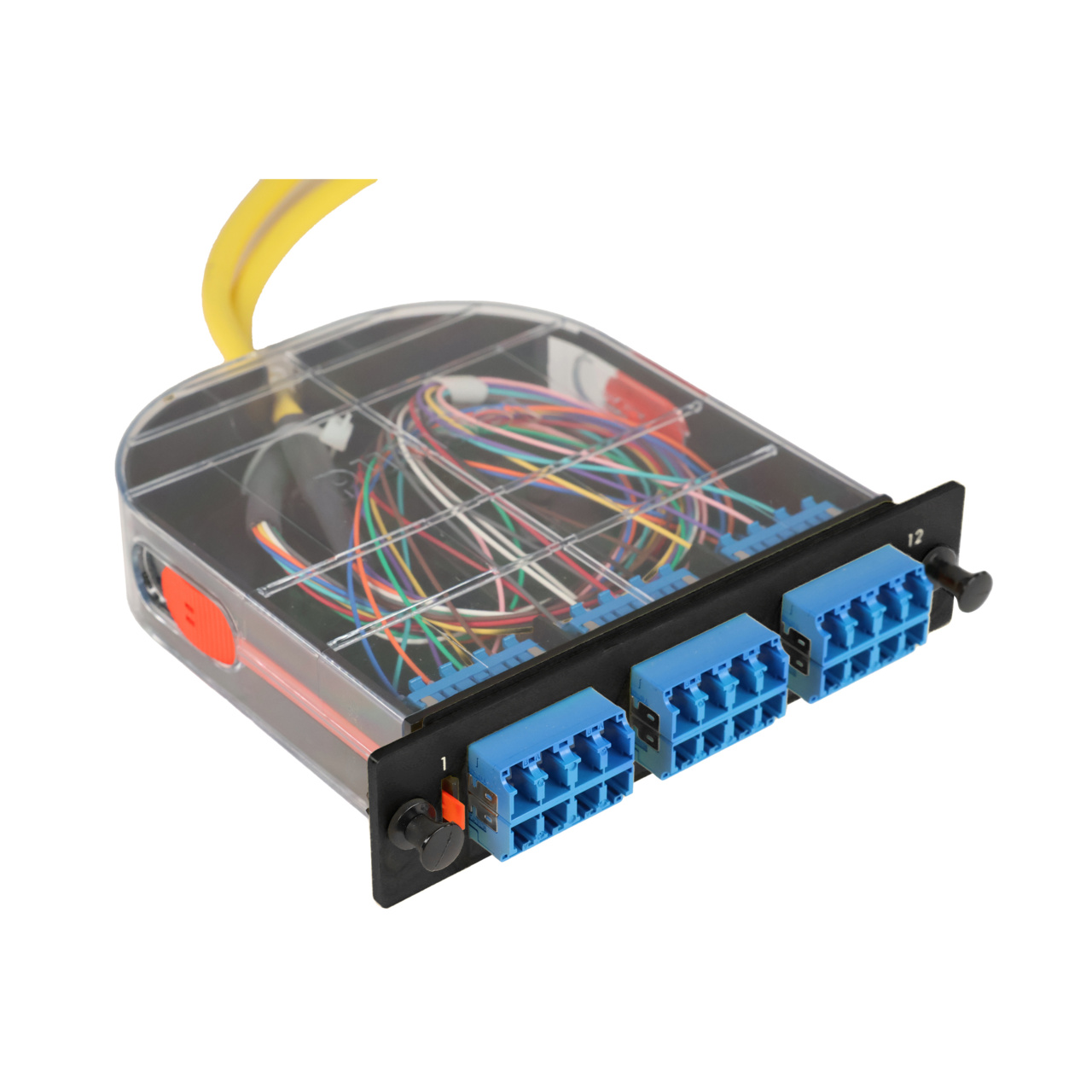 LM2 Cassette, 24 Fiber, LC Quad (6), Single Mode (OS2) to 1 Meter, 900µm Tight Buffer Pigtail trimetric right.