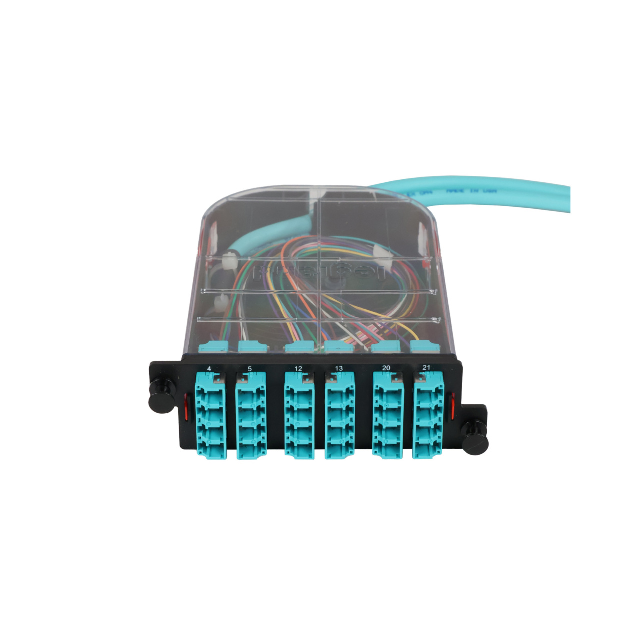 LM4 Cassette, 24 Fiber, LC Quad (6), Multimode (OM4) to 1 Meter, 900µm Tight Buffer Pigtail trimetric top