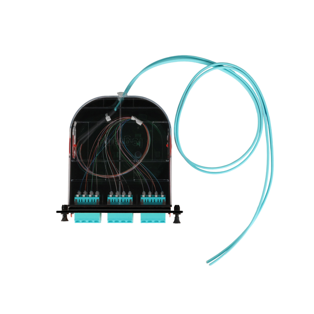 LM2 Cassette, 24 Fiber, LC Quad (6), Multimode (OM4) to 1 Meter, 250µm Ribbon Pigtail top with cable