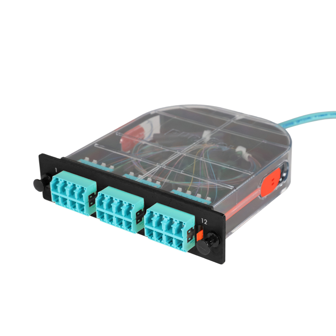 LM2 Cassette, 24 Fiber, LC Quad (6), Multimode (OM4) to 1 Meter, 250µm Micro-Distribution Loose Tube Pigtail trimetric left
