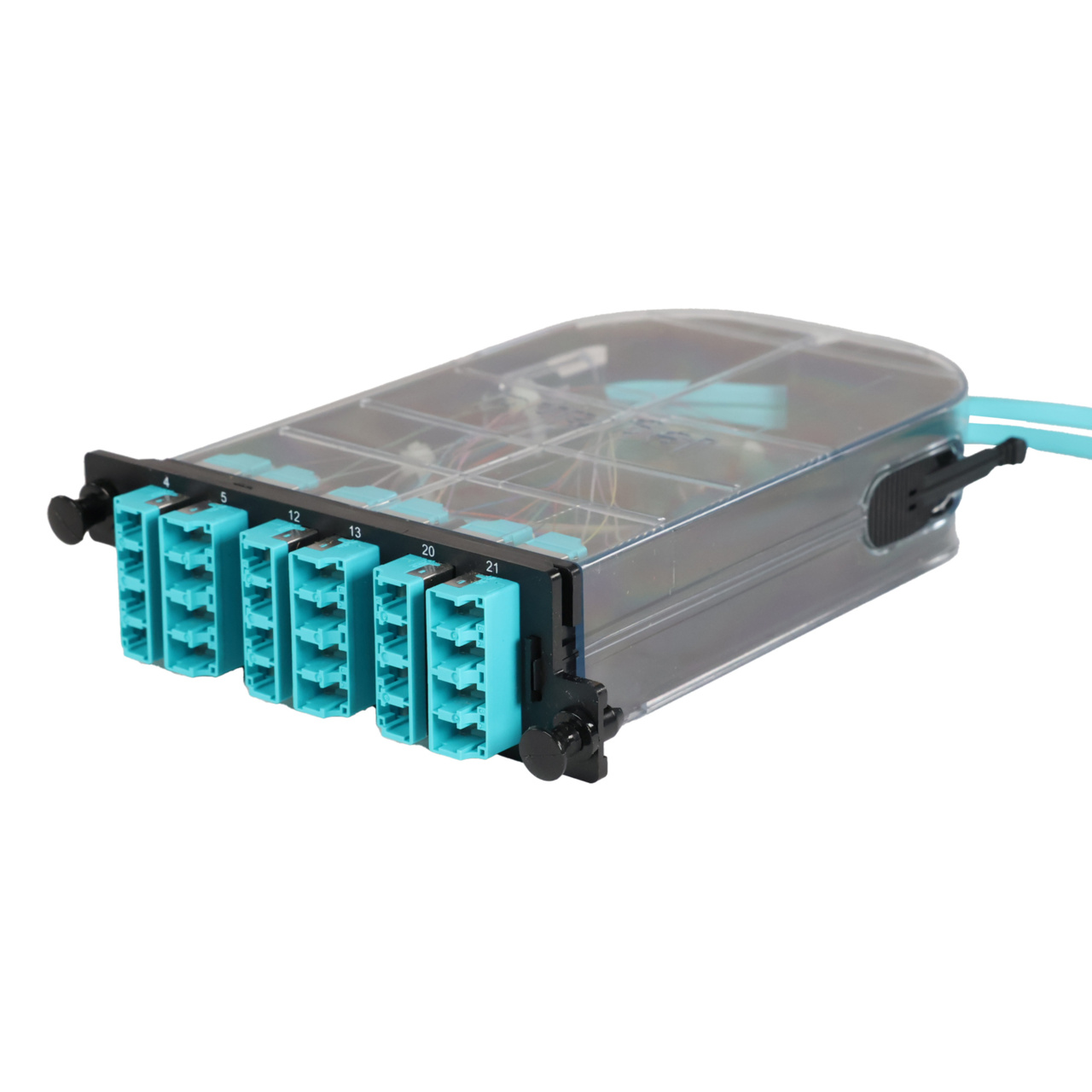 LM4 Cassette, 24 Fiber, LC Quad (6), Multimode (OM4) to 1 Meter, 250µm Micro-Distribution Loose Tube Pigtail trimetric left