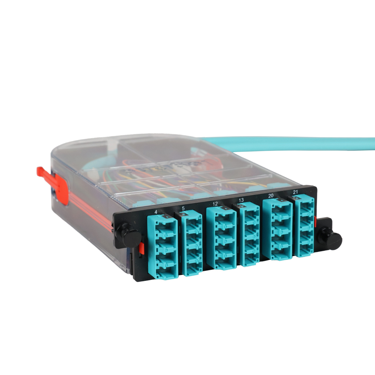 LM4 Cassette, 24 Fiber, LC Quad (6), Multimode (OM4) to 1 Meter, 250µm Ribbon Pigtail trimetric right