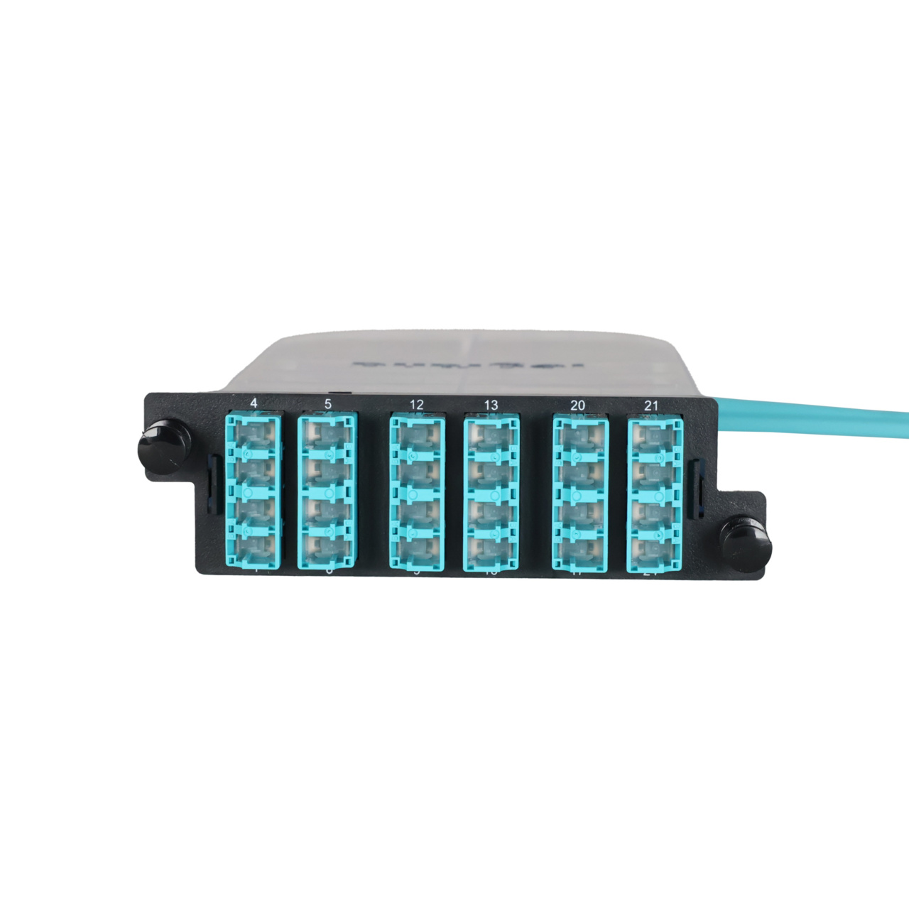 LM4 Cassette, 24 Fiber, LC Quad (6), Multimode (OM4) to 1 Meter, 250µm Micro-Distribution Loose Tube Pigtail front