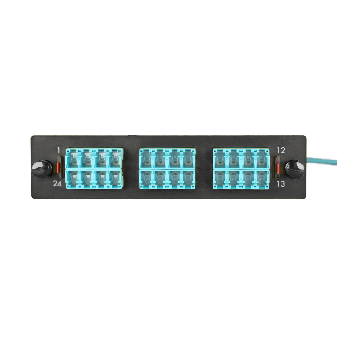 LM2 Cassette, 24 Fiber, LC Quad (6), Multimode (OM4) to 1 Meter, 250µm Micro-Distribution Loose Tube Pigtail front