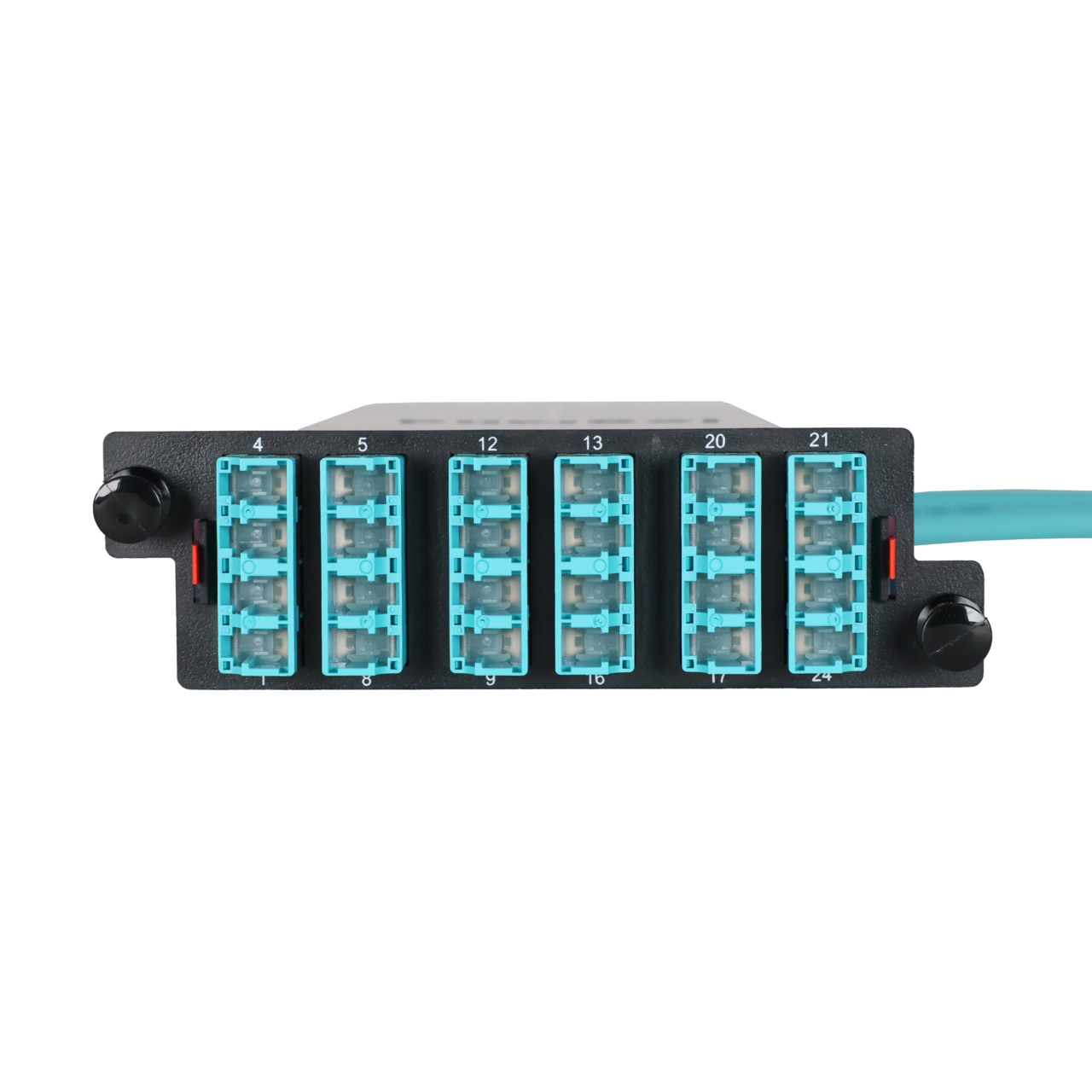 LM4 Cassette, 24 Fiber, LC Quad (6), Multimode (OM4) to 1 Meter, 250µm Ribbon Pigtail front