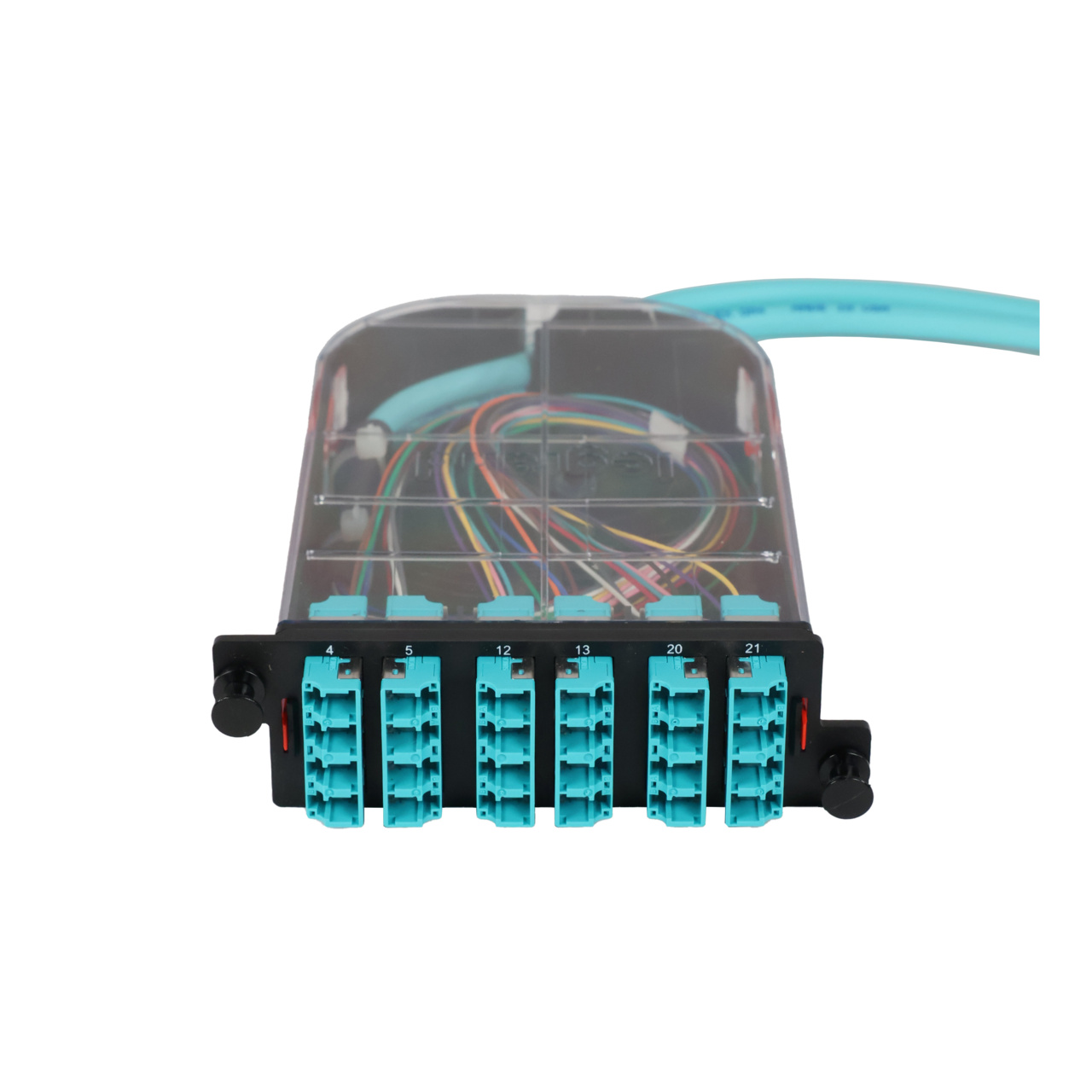 LM4 Cassette, 24 Fiber, LC Quad (6), Multimode (OM4) to 1 Meter, 250µm Ribbon Pigtail trimetric top