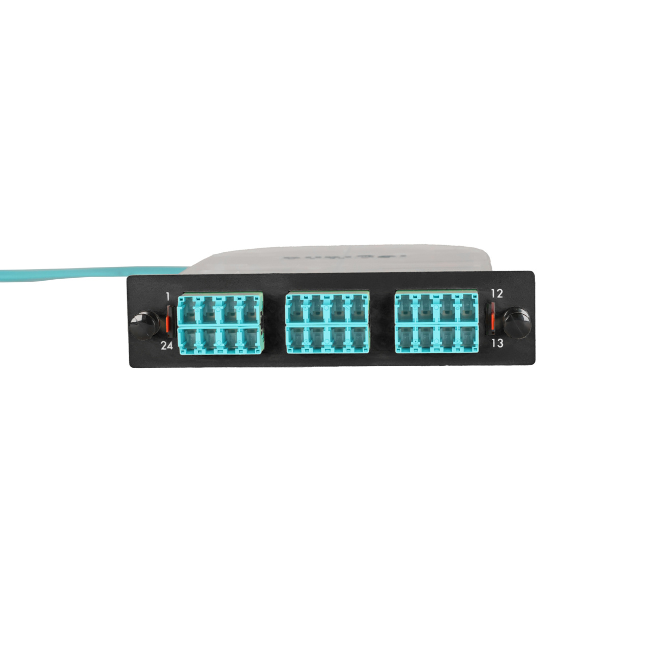 LM2 Cassette, 24 Fiber, LC Quad (6), Multimode (OM4) to 1 Meter, 250µm Ribbon Pigtail front
