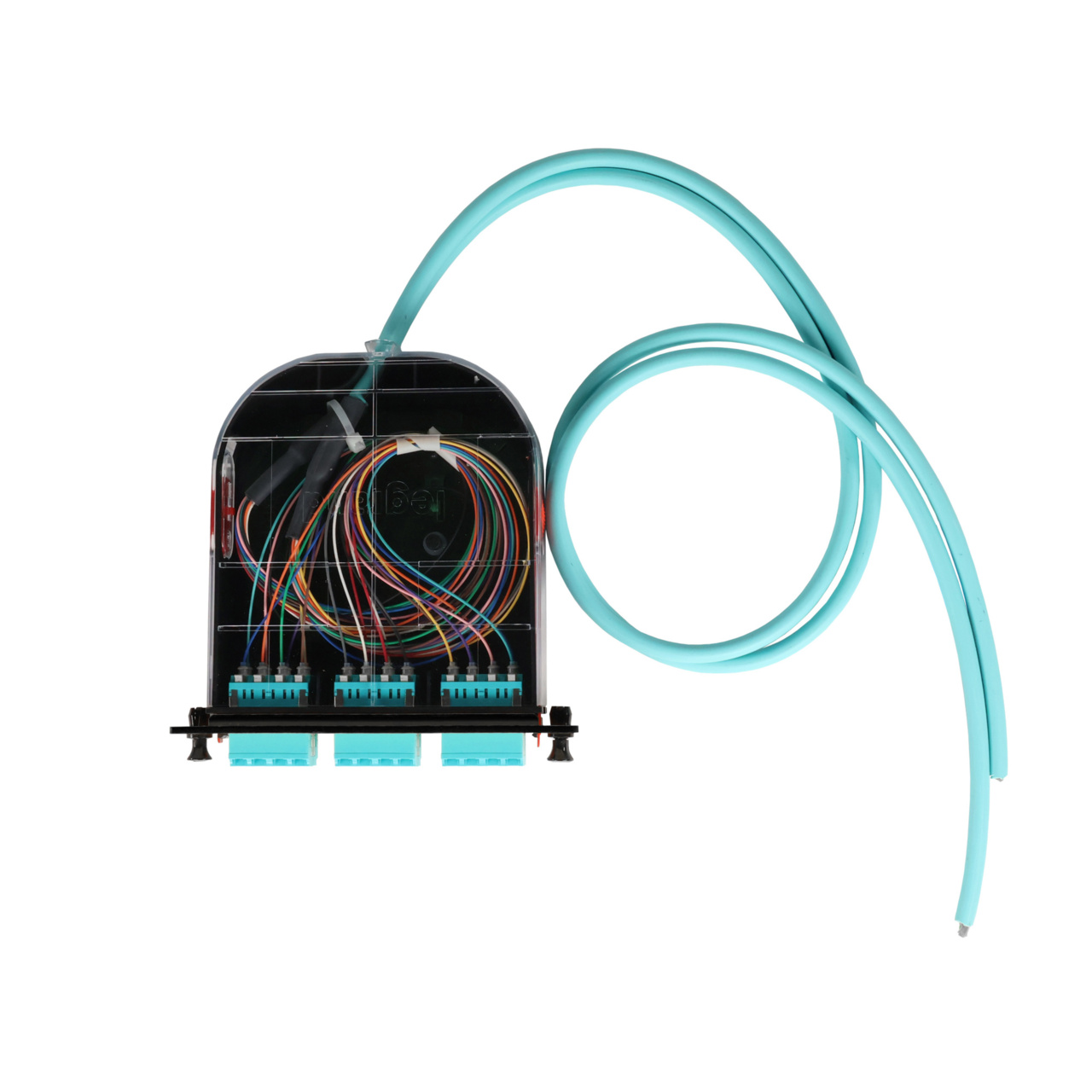 LM2 Cassette, 24 Fiber, LC Quad (6), Multimode (OM4) to 1 Meter, 900µm Tight Buffer Pigtail top with cable