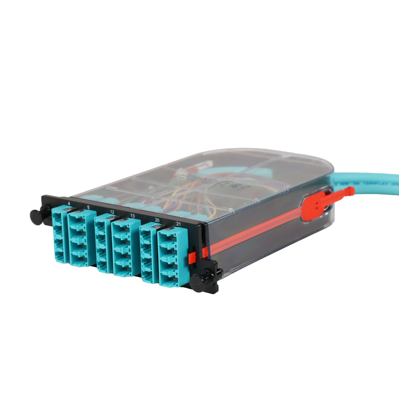 LM4 Cassette, 24 Fiber, LC Quad (6), Multimode (OM4) to 1 Meter, 250µm Ribbon Pigtail trimetric left