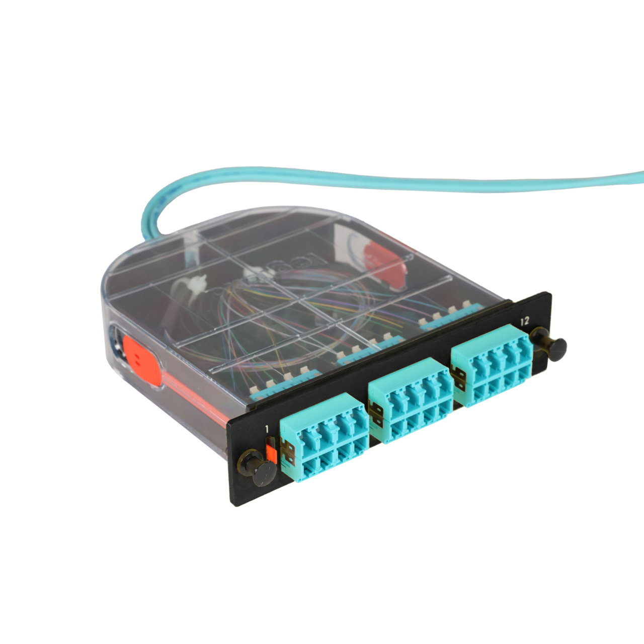 LM2 Cassette, 24 Fiber, LC Quad (6), Multimode (OM4) to 1 Meter, 250µm Micro-Distribution Loose Tube Pigtail trimetric right