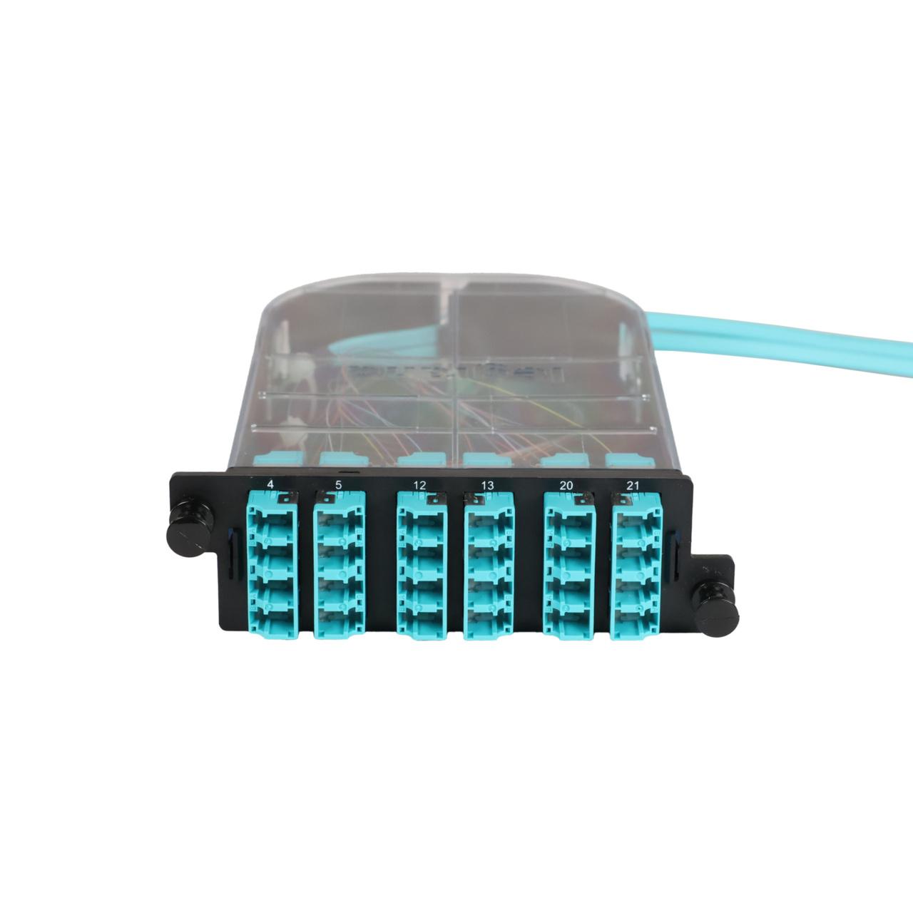 LM4 Cassette, 24 Fiber, LC Quad (6), Multimode (OM4) to 1 Meter, 250µm Micro-Distribution Loose Tube Pigtail trimetric top