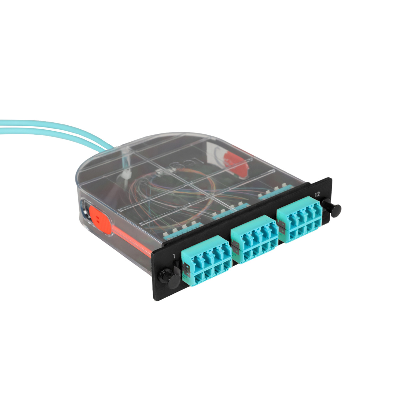 LM2 Cassette, 24 Fiber, LC Quad (6), Multimode (OM4) to 1 Meter, 250µm Ribbon Pigtail trimetric right