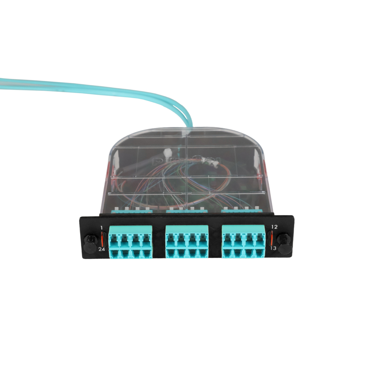LM2 Cassette, 24 Fiber, LC Quad (6), Multimode (OM4) to 1 Meter, 250µm Ribbon Pigtail trimetric top