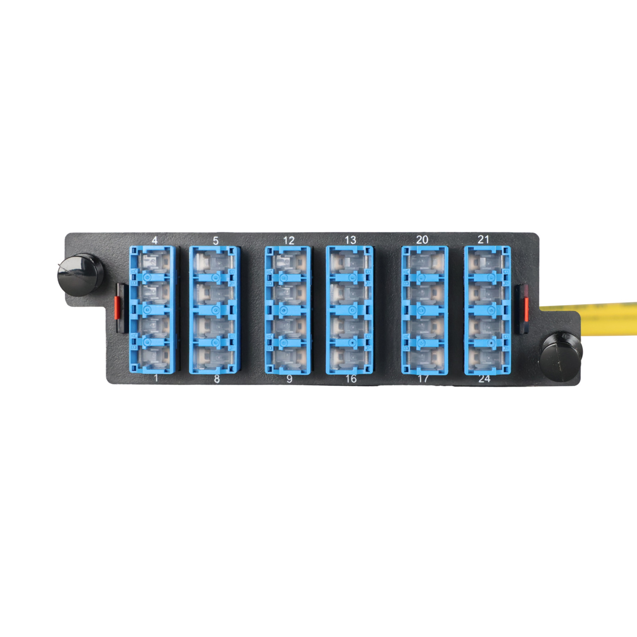 LM4 Cassette, 24 Fiber, LC Quad (6), Single Mode (OS2) to 1 Meter, 900µm Tight Buffer Pigtail front