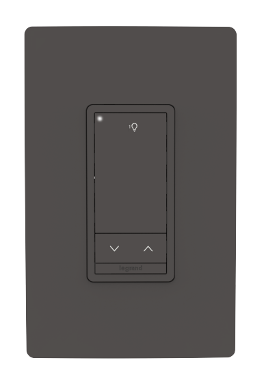 WSP Standard Switch in the color Brown