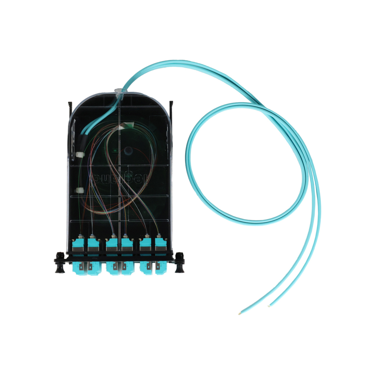 LM4 Cassette, 24 Fiber, LC Quad (6), Multimode (OM4) to 1 Meter, 250µm Micro-Distribution Loose Tube Pigtail top with cable