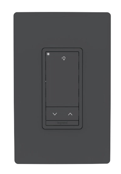 WSP Standard Switch in the color Black