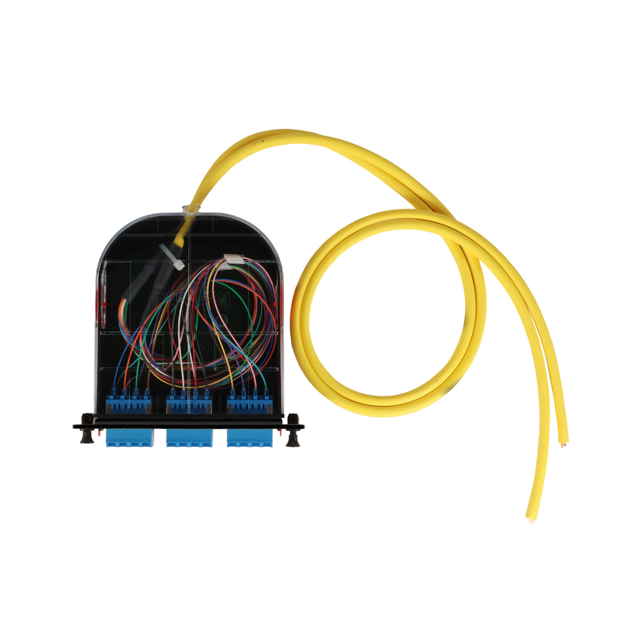 LM2 Cassette, 24 Fiber, LC Quad (6), Single Mode (OS2) to 1 Meter, 900µm Tight Buffer Pigtail top with cable.