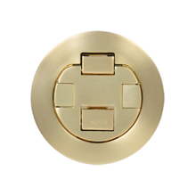 4In Cover Assembly Flush Poke-Thru Satin Brass