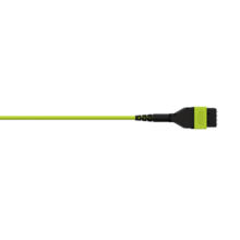 acclAIM, Multi-Fiber, Round, 8 Fiber, Micro Distriburtion Interconnect Assembly, Plenum, MM OM5, Polarity C, 30 Meters acclAIM, Multi-Fiber, Round, 8 Fiber, Micro Distriburtion Interconnect Assembly, Plenum, MM OM5, Polarity C, 30 Meters