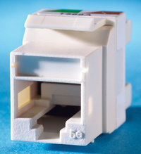 Category 5e Keystone jack, Blue Category 5e Keystone jack, Blue