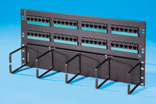 Clarity 6 hinged 48-port panel with lower cable management panel - Cat 6 - 19 in x 8.75 in