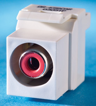RCA module (black insulator), Keystone, 110 termination, Fog White RCA module (black insulator), Keystone, 110 termination, Fog White