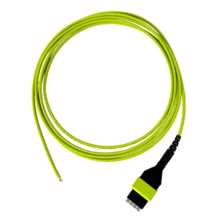 3 Meter, Micro-Distribution Pigtail to acclAIM, OM5 Multimode, Plenum Rated, 8 Single Fiber, Splice-on Pigtail, Lime 3 Meter, Micro-Distribution Pigtail to acclAIM, OM5 Multimode, Plenum Rated, 8 Single Fiber, Splice-on Pigtail, Lime