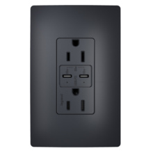 radiant 65W USB Outlet, Type C, 15A, Tamper-Resistant, Graphite radiant 65W USB Outlet, Type C, 15A, Tamper-Resistant, Graphite