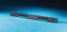 Clarity 5E 12-port panel - Cat5e - six-port modules - 19 in x 1.75 in