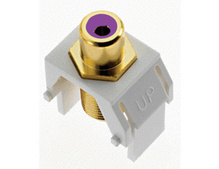 Purple RCA to F-Connector, White Purple RCA to F-Connector, White