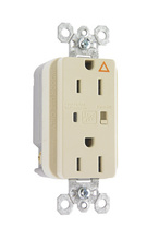 Isolated Ground Surge Protective Duplex Receptacle, Ivory Isolated Ground Surge Protective Duplex Receptacle, Ivory