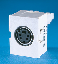 TracJack Module, Mini Din, SVHS, 110 termination, Fog White TracJack Module, Mini Din, SVHS, 110 termination, Fog White