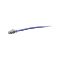 2ft (0.6m) TAA-Compliant F-Series Cat6a Snagless Shielded (STP) Network Cable - Purple 2ft (0.6m) TAA-Compliant F-Series Cat6a Snagless Shielded (STP) Network Cable - Purple