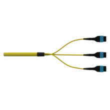 Infinium acclAIM Fiber Trunk Assembly, Plenum, SM OS2, 24 Fiber polarity C, 80 Meter