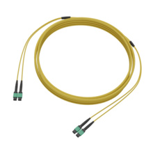 CORE MPO-12 Trunk, MPO SM Non-Pinned-MPO SM Non-Pinned, 250um uDist OFNP 3.0mm, 24 Fiber, OS2 Single-mode, 40 Feet