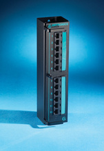 Clarity 5E 12-port - Category 5e mini patch - hinged mounting - 10 in x 2.5 in