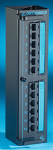 Clarity 6 12-port Category 6 mini patch panel - hinged mounting - 10 in x 2.5 in