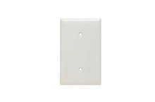 1-Gang Thermoset Wall Plate, Blank, Strap Mounted, White 1-Gang Thermoset Wall Plate, Blank, Strap Mounted, White