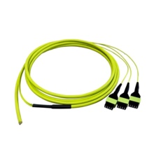 3 Meter, Micro-Distribution Pigtail to acclAIM, OM5 Multimode, Plenum Rated, 24 Single Fiber, Splice-on Pigtail, Lime