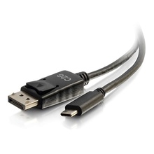 1ft (0.3m) USB-C to DisplayPort™ Adapter Cable 4K 30Hz - Black 1ft (0.3m) USB-C to DisplayPort™ Adapter Cable 4K 30Hz - Black