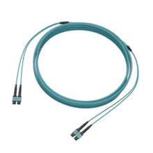CORE MPO-12 Trunk, MPO SM Non-Pinned-MPO SM Non-Pinned, 250um uDist OFNP 3.0mm, 24 Fiber, OM4 Multimode, 30 Feet