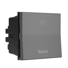 adorne® 15A Paddle™ Switch, Engraved - Master, Magnesium adorne® 15A Paddle™ Switch, Engraved - Master, Magnesium