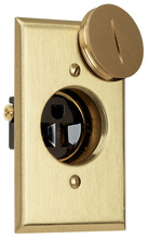 Tamper-Resistant Floor Box Assembly, One-Gang for Wood Sub-Floors, Brass Plate Tamper-Resistant Floor Box Assembly, One-Gang for Wood Sub-Floors, Brass Plate