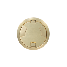 8IN PRWRD SURF SATIN BRASS ASSEMBLY MARKED CONTROLLED BK CKT 8IN PRWRD SURF SATIN BRASS ASSEMBLY MARKED CONTROLLED BK CKT