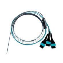 3 Meter, Bare Ribbon Pigtail to acclAIM, OM4 Multimode, Plenum Rated, 24 Single Fiber, Splice-on Pigtail, Aqua
