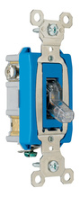 Industrial Extra Heavy Duty Specification Grade Switch, Lighted When On, Back and Side Wire, Clear Industrial Extra Heavy Duty Specification Grade Switch, Lighted When On, Back and Side Wire, Clear